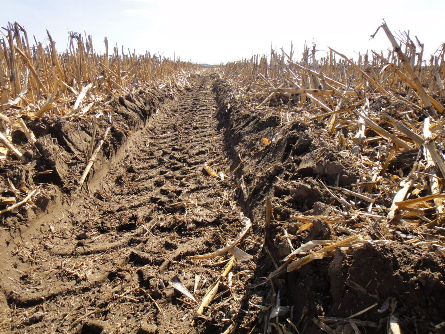 soil compacted by tractor tire tread
