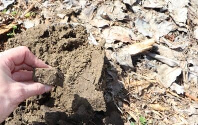 a hand holding soil.