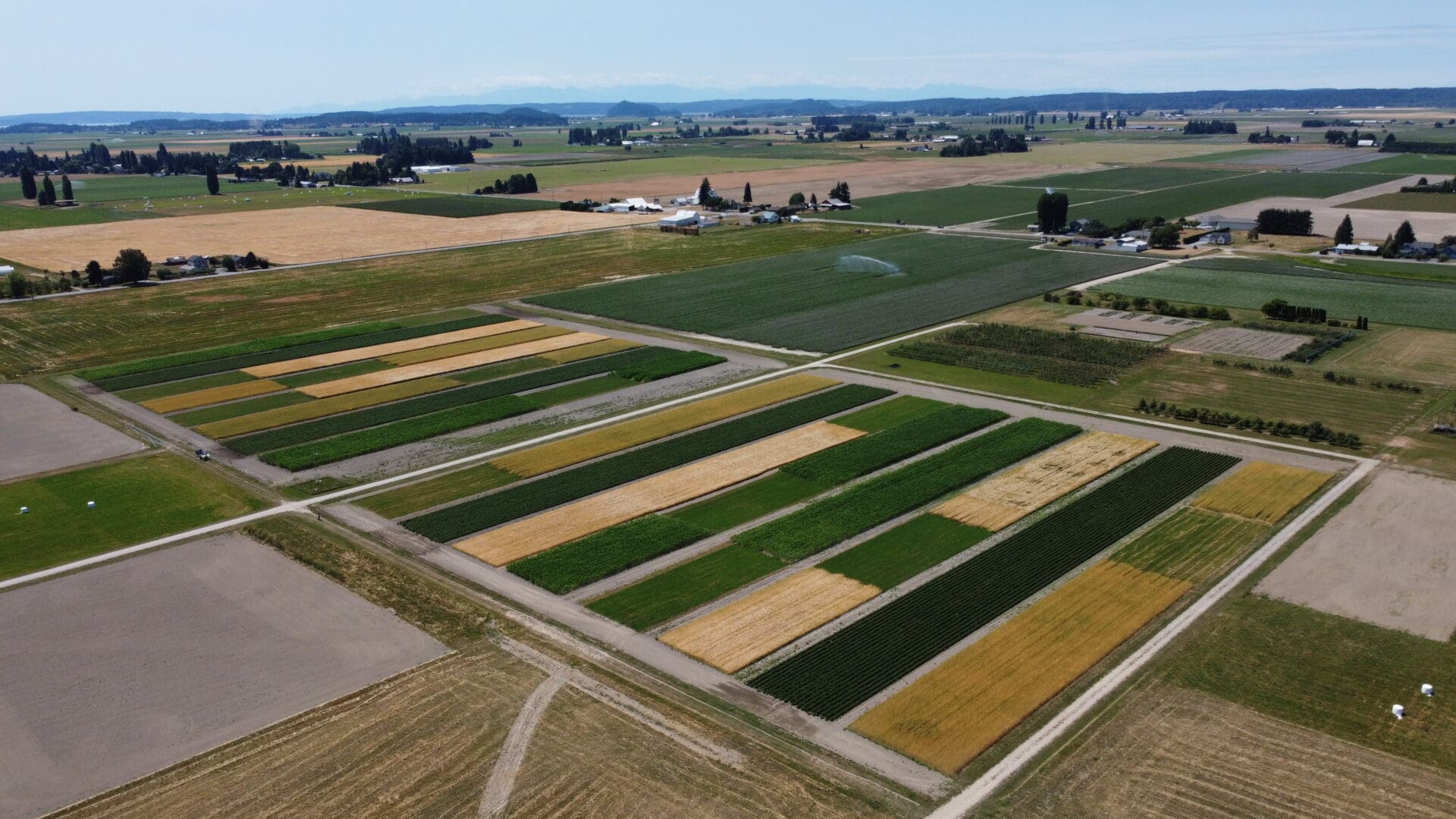 a birds eye view of a colorful field. 