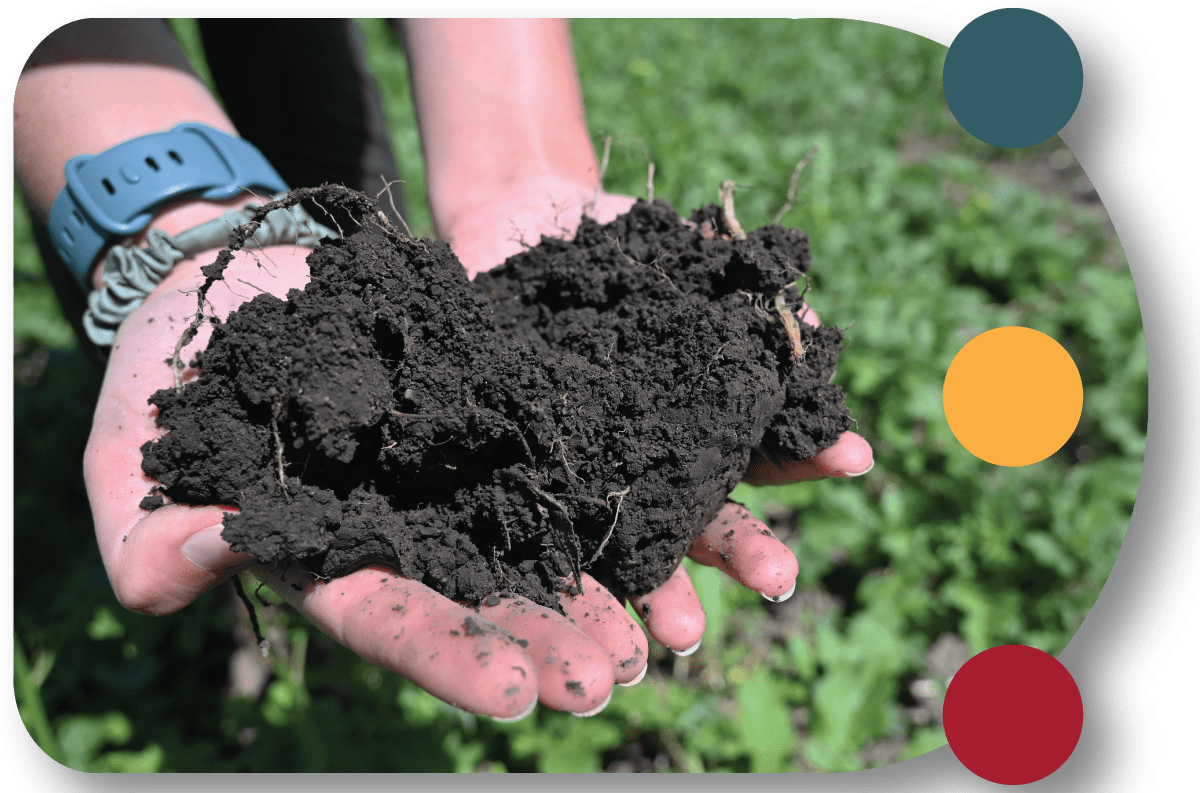 hands holding soil.