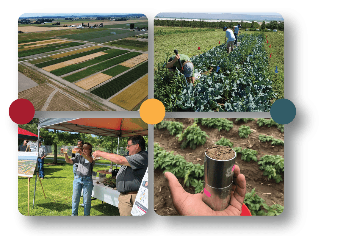 A collage of photos showing people working in a field.