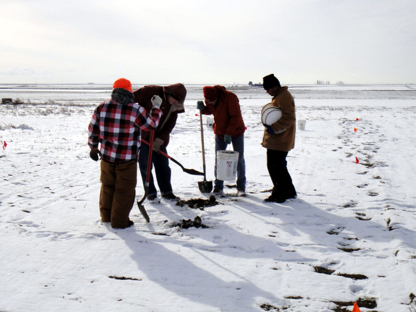 People standing in a snowy field holding shovels and buckets.