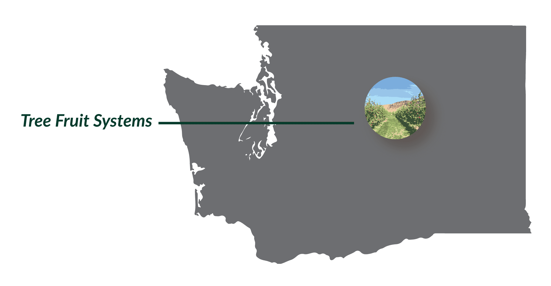 a map with the location of the Wenatchee LTARE