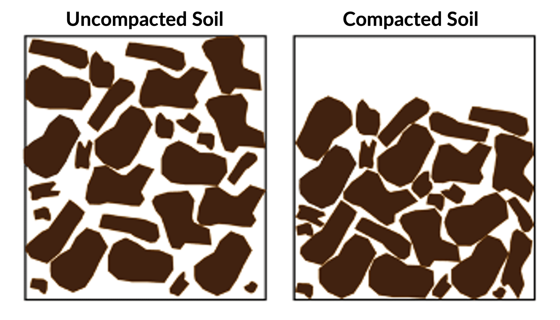 A comparison of a uncompacted and compacted soil.