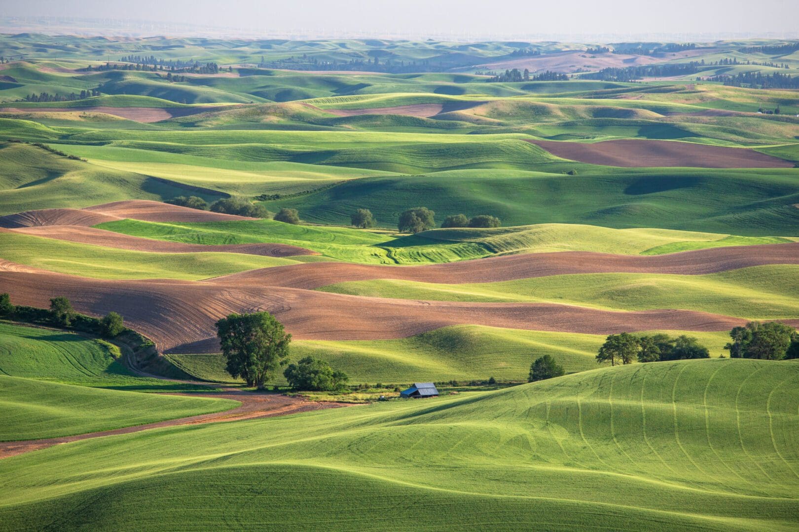 A green field with a green truck in the background.