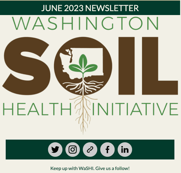 header for washi newsletter.