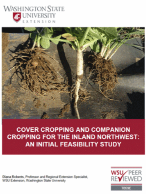 Cover cropping and companion cropping for the inland northwest.