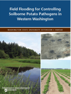 Field flooding for controlling soil potato pathogens in western washington.