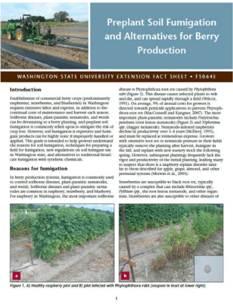 Preplant soil famine and all-purpose berry production.