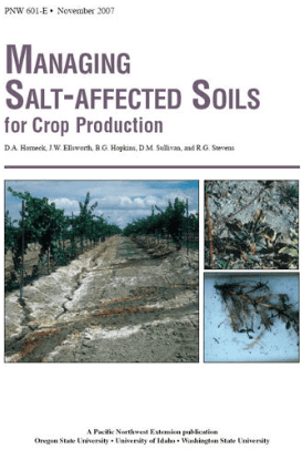 Managing salt affected soils for crop production.