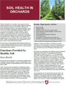 Soil health in orchards.