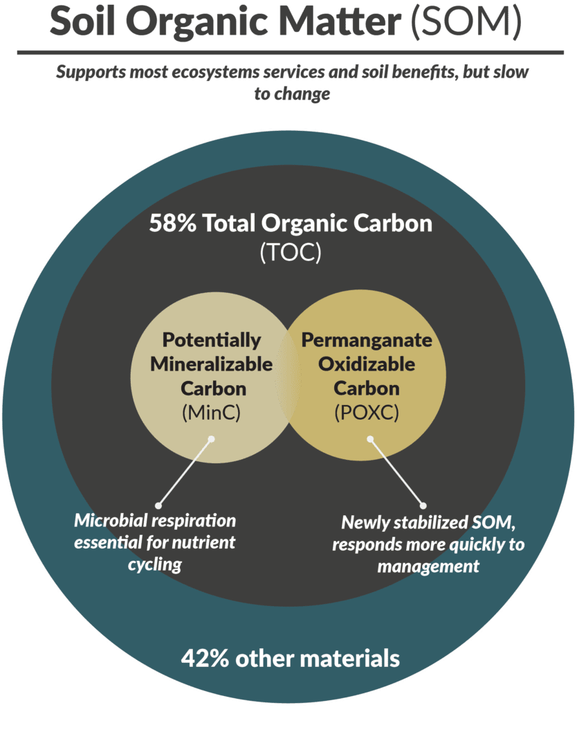 A diagram showing the components of soil organic matter.