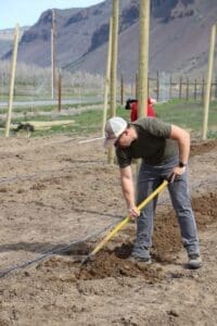 a person digging a hole in an orchard.