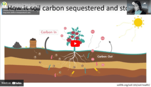 A video about soil carbon sequestration.