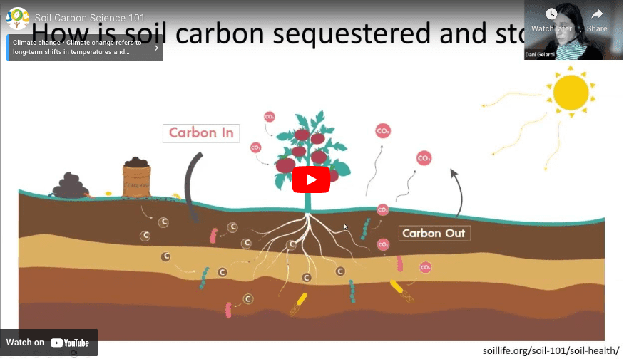 A video about soil carbon sequestration.