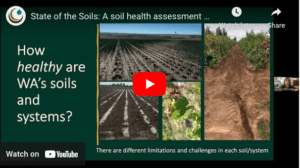 a video about the state of the soils assessment