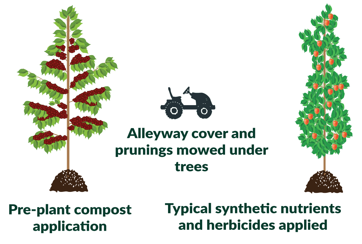 An infographic showing the characteristics of the high carbon treatment.