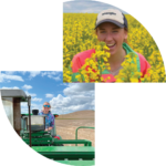 Two pictures of a woman and a man in a field of rapeseed, showcasing the vibrant yellow blooms and abundant growth.