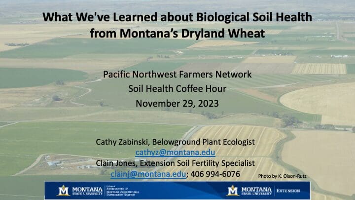 What we learned about biological health from montana's dryland wheat.