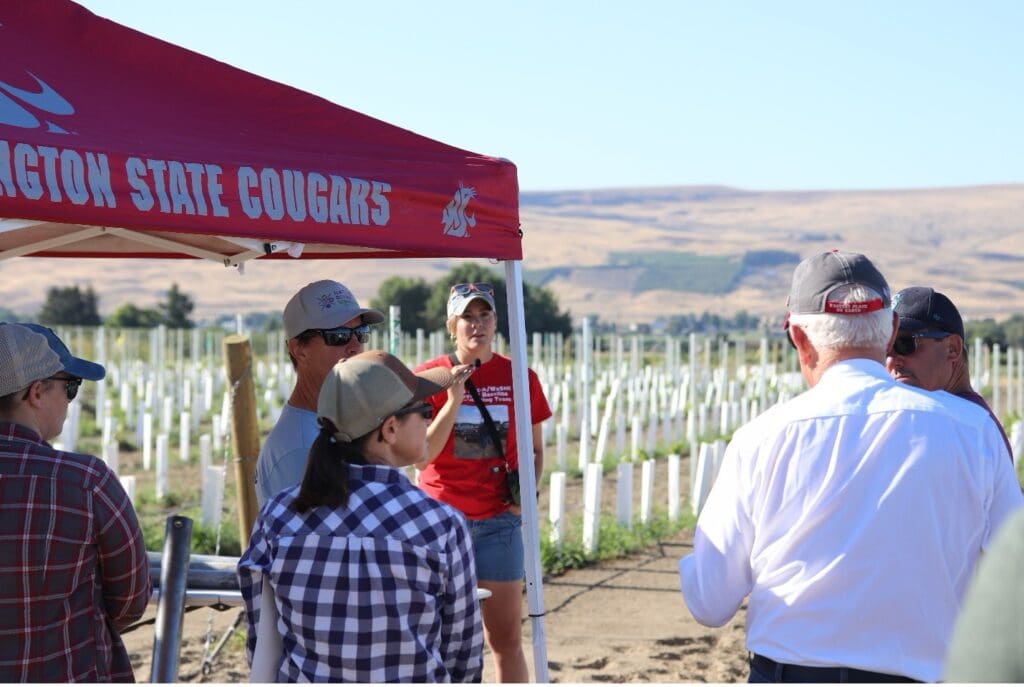 Six people standing near a Washington State University tent in a vineyard. One person wearing a red shirt has a microphone.