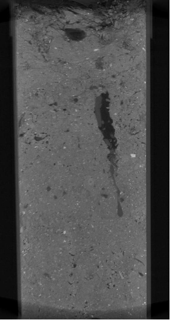 A black and white image showing a CT scan of soil.