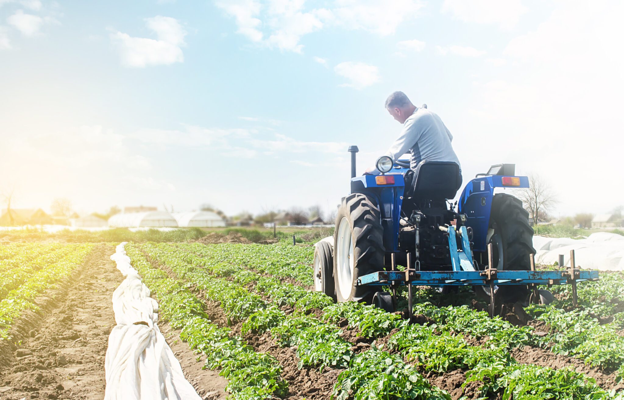 a farmer in a field on a blue tractor.