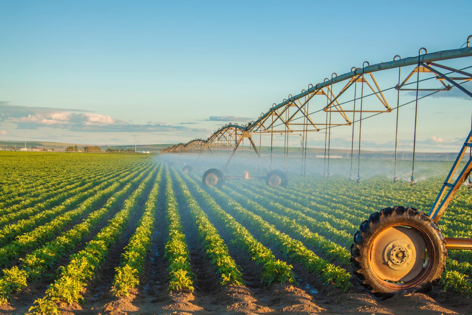 An irrigation system watering rows of crops in a large field under a clear blue sky.