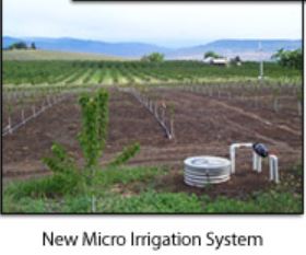 Agricultural field with a new micro irrigation system, featuring sprinklers and hoses, with lush greenery in the background.