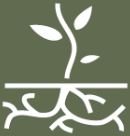 A white icon of a plant with roots on a green background, symbolizing growth and a connection between above and below ground.