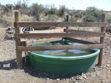 A green livestock water trough filled with water, situated in a dry area with scattered bushes, enclosed by a wooden barrier.