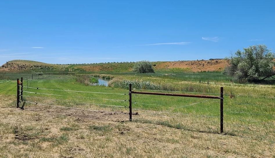 A rustic fence borders a grassy field with a small pond and trees under a clear blue sky.