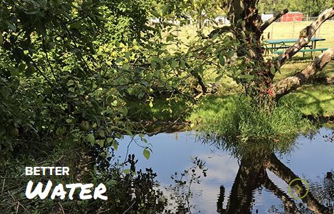 A serene pond surrounded by lush foliage with a "better water" sign and a playground visible in the background.