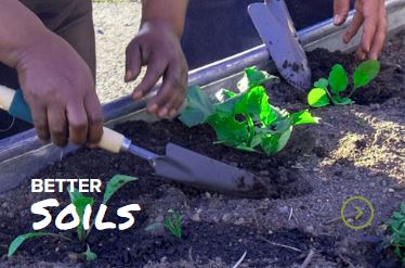 Two people planting young plants in soil, captioned "better soils." hands using gardening trowels are visible.