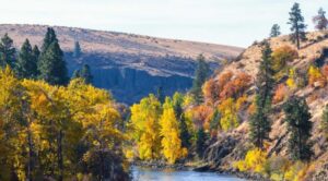 A scenic autumn view of a river winding through a valley with trees displaying vibrant yellow and orange leaves against a backdrop of hills.