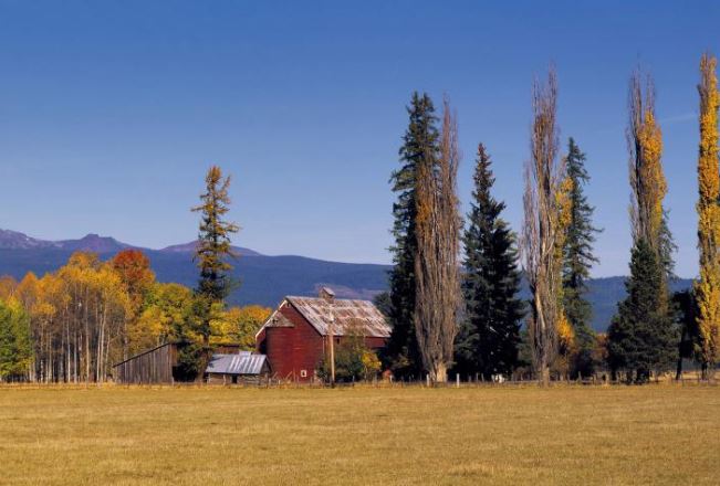 A scenic autumn landscape featuring a rustic barn surrounded by tall trees in a field, with mountains in the background under a clear blue sky.