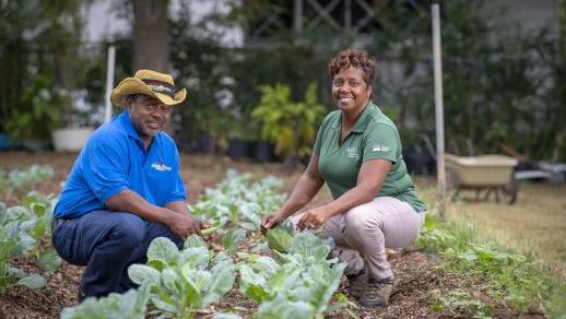 Two smiling people, a man in a blue shirt and a woman in a green shirt, tending to a vegetable garden with large green plants.