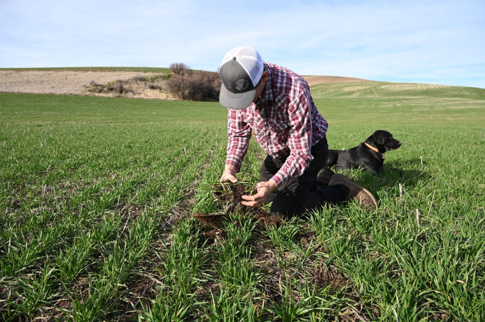 a person standing in a farm field.