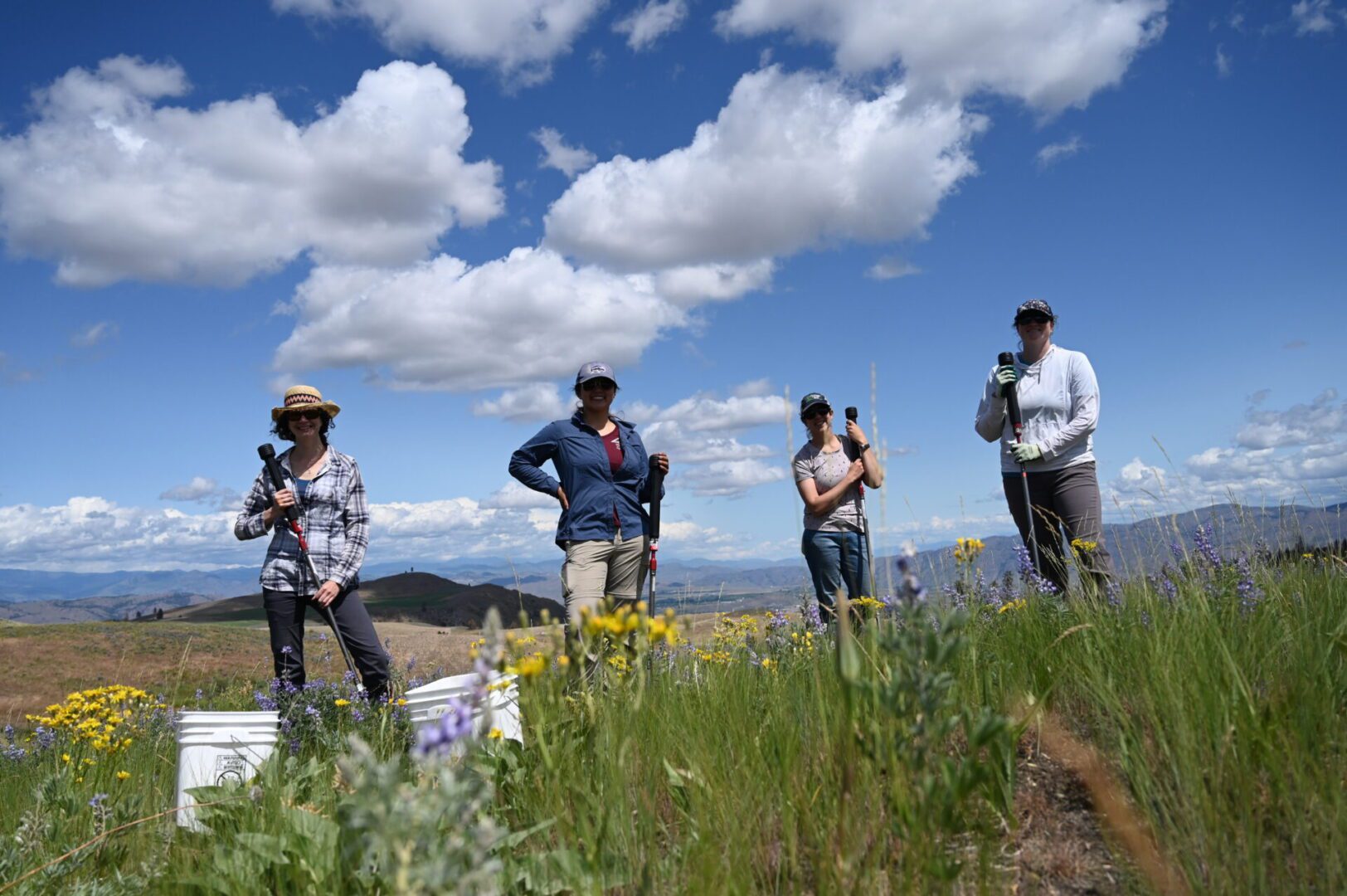 Four people standing in a blooming meadow with rolling hills in the background, holding tools, under a partly cloudy sky.