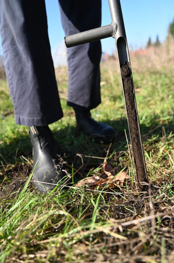 Person in black boots using a garden fork to dig soil on a sunny day, focusing on the lower half of the body.