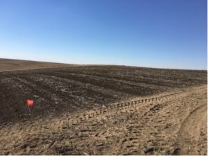 A plowed agricultural field under a clear blue sky, with traces of tire tracks from a recent compost application and a small red flag visible on the left.