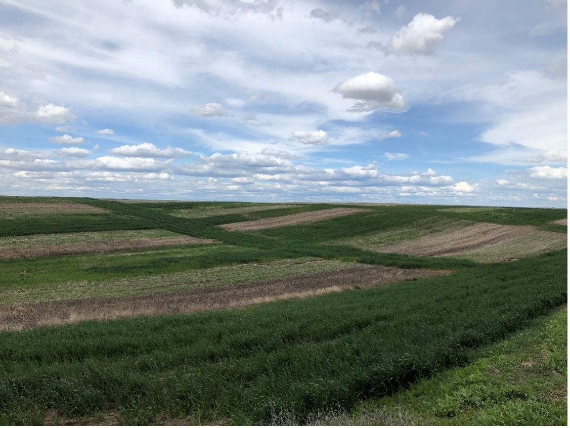 Rolling agricultural fields with varying crops under a partly cloudy sky, freshly enhanced by compost application.