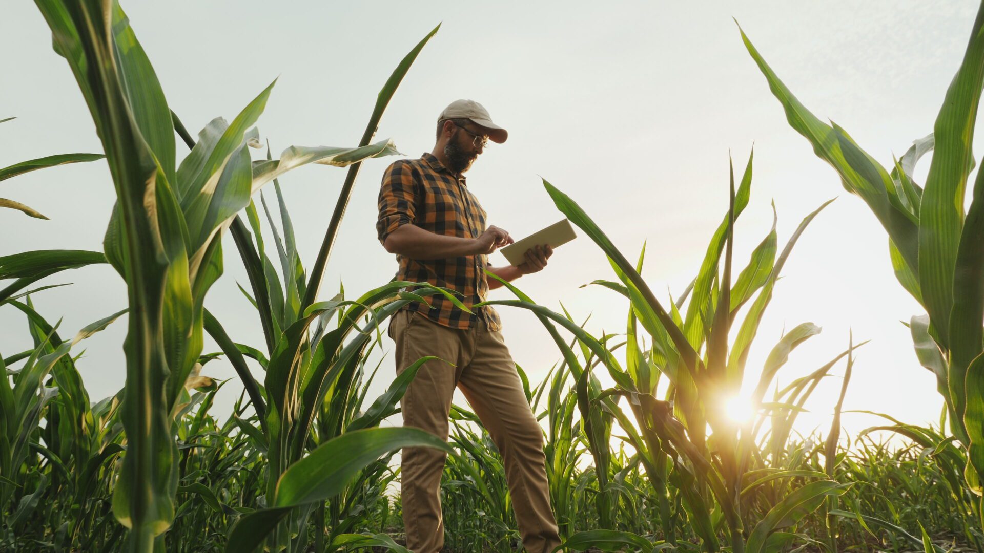 a person standing in a farm field.