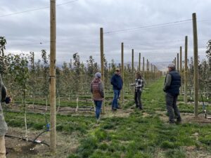 four people standing in an orchard