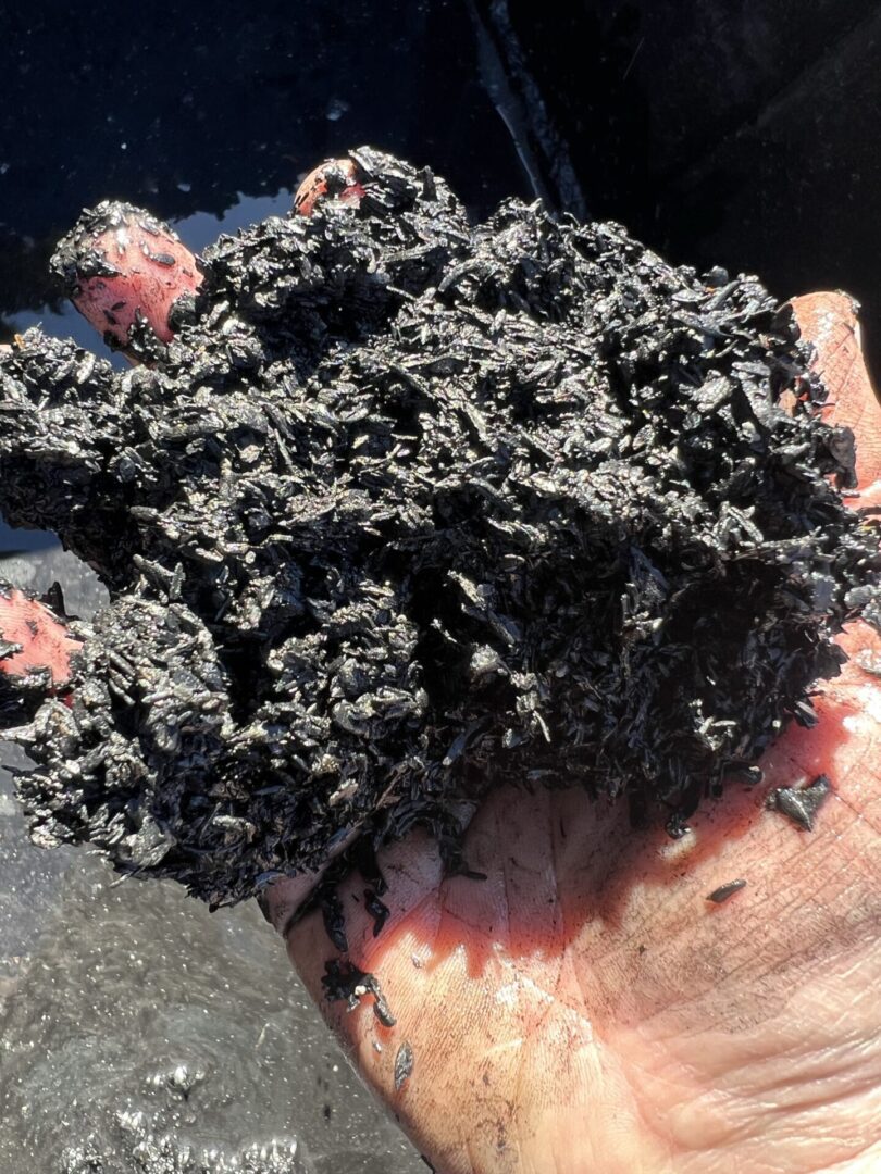 Casey holding biochar