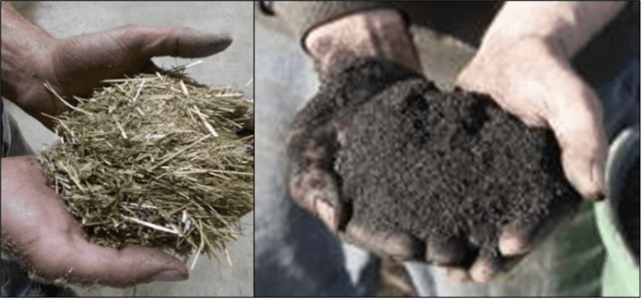 Residues from the seed cleaning mill (left) are used as feedstock for a high-ash biochar (right).