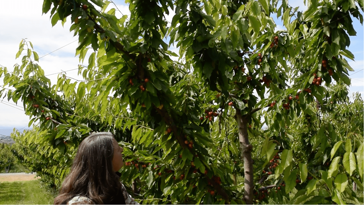 casey near tree