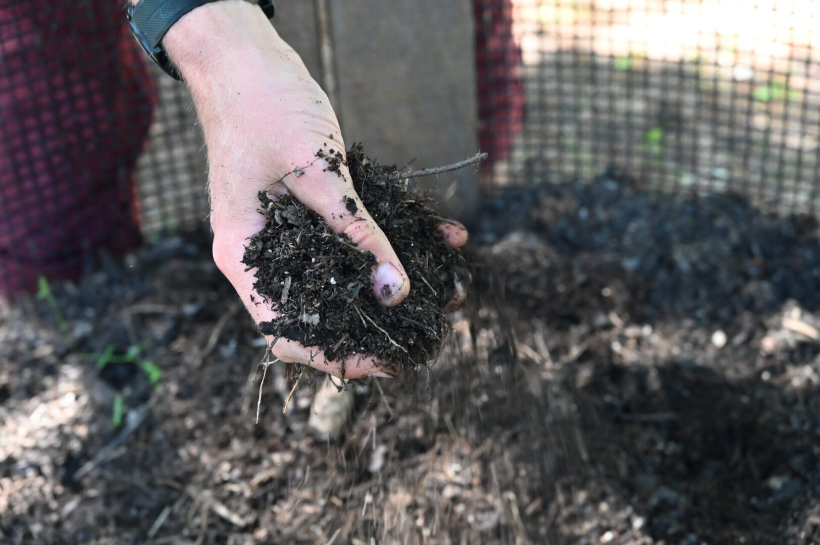 a hand holding compost.