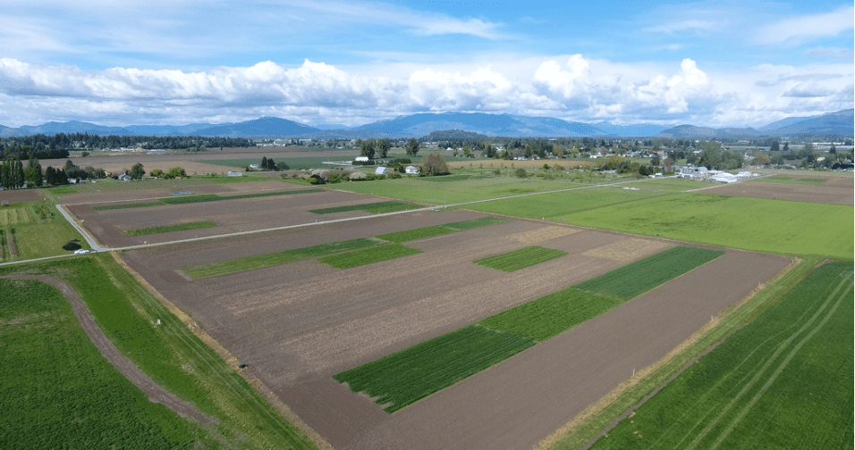 a field with some green sections and some brown.