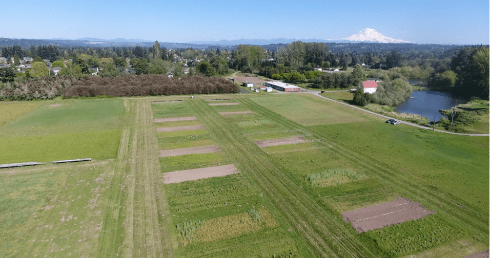 a field with a mountain in the background.