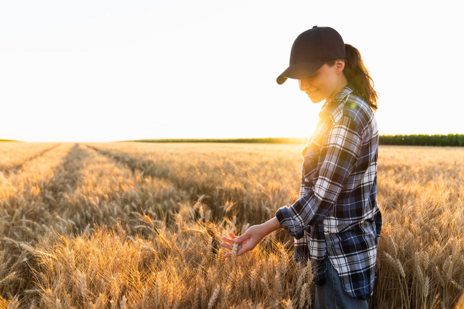 a person in a wheat field.